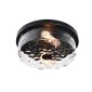 thehouselights-2-light-seeded-glass-semi-flush-mount-flush-mount-530956