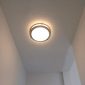 Flush Mount Light Dimmable LED Ceiling black daylight uses